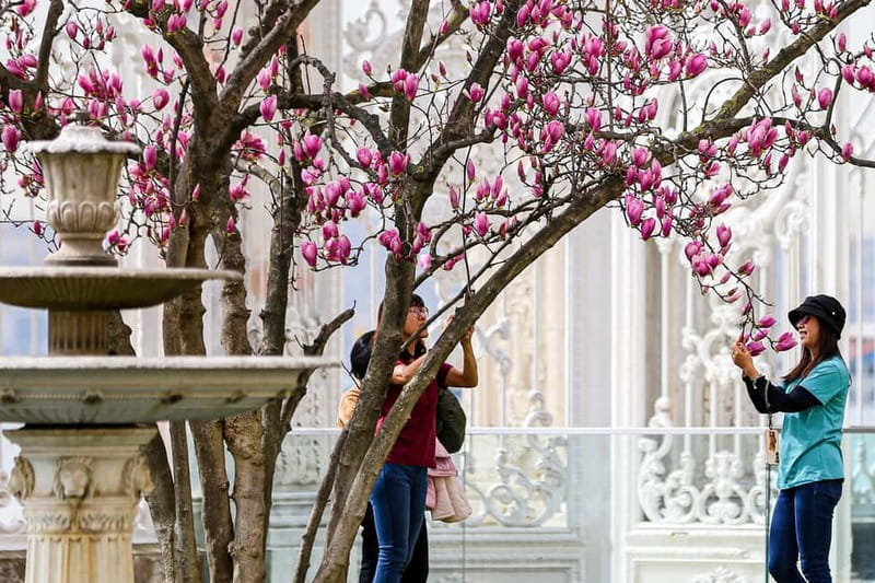 Istanbul: Dolmabahce Palace and Harem Fast-Track & Audio - How much time should you set aside?