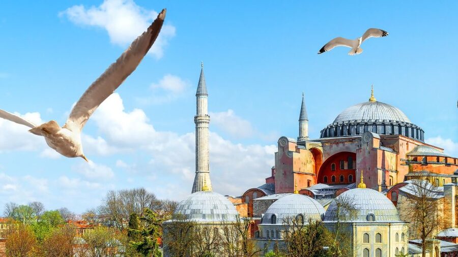 Istanbul's Popular Duo: Hagia Sophia & Topkapı Palace - Who will get the most from this tour