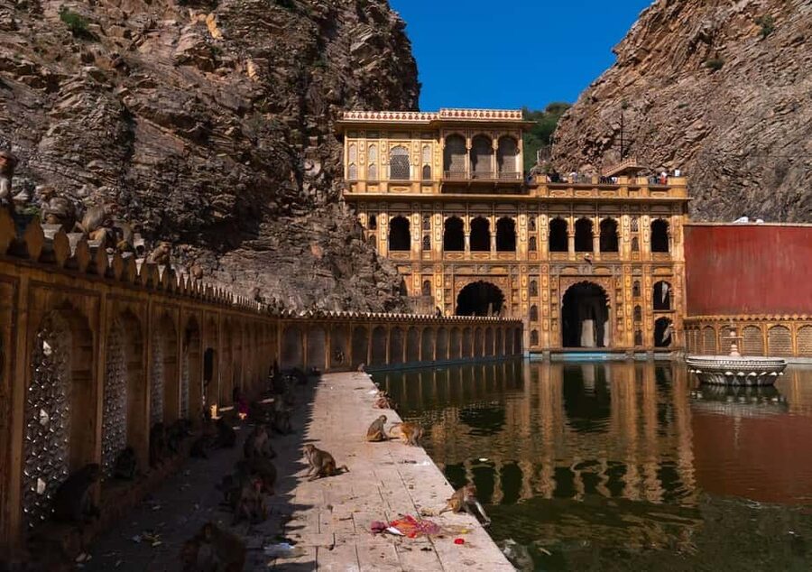 Jaipur: Heritage Forts & Palaces Tour with Monkey Temple - Hawa Mahal and the Pink City