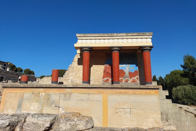 Knossos Palace and/or Zeus Cave + Olive Mill | Local & Private - Tasting olive oil at Omalia Olive Press