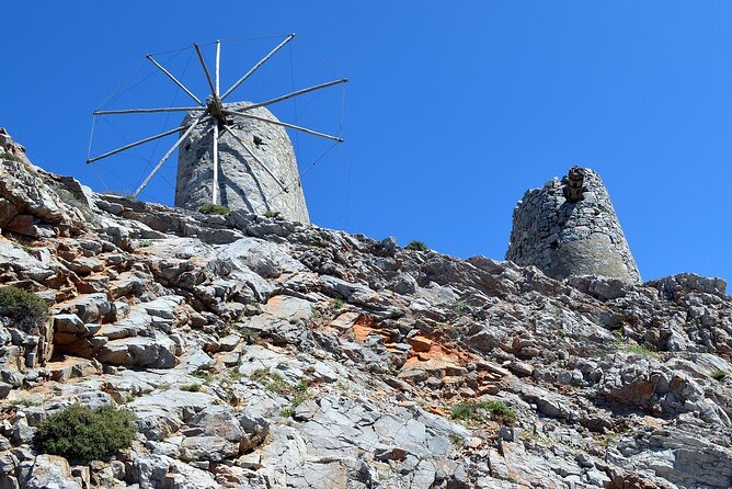 Knossos Palace and/or Zeus Cave + Olive Mill | Local & Private - Pausing beneath the 2,400-year-old Platanus Tree