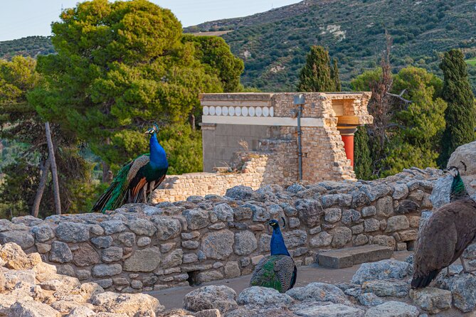 Knossos Palace Private Walking Tour - The Bull-Leaping Fresco replica