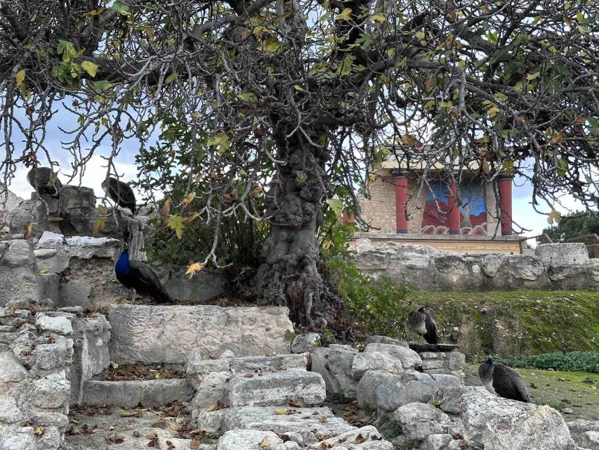 Knossos Palace Skip-the-Line Ticket & Private Guided Tour - What the $247 price really buys