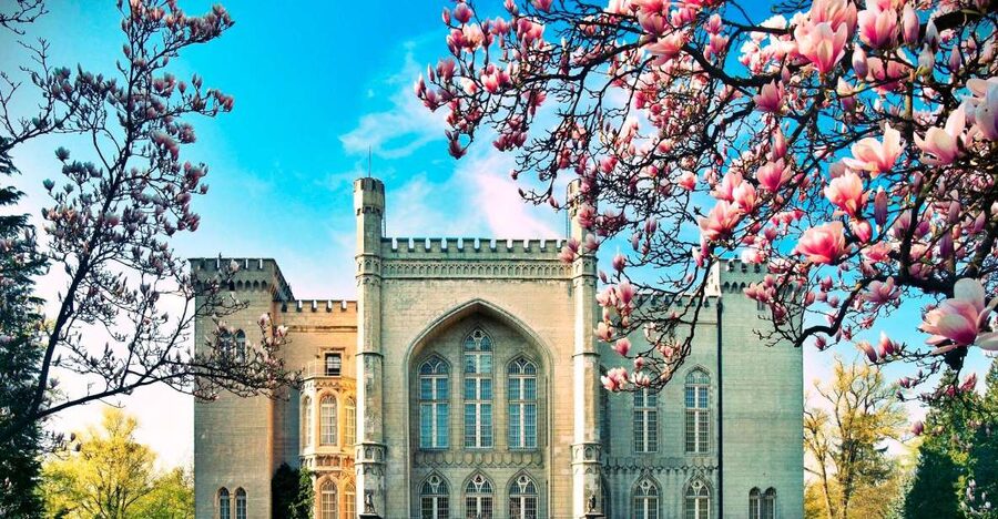 Kornik Castle and Rogalin Palace Half-Day Private Tour - Kornik Arboretum: forty hectares of room to breathe