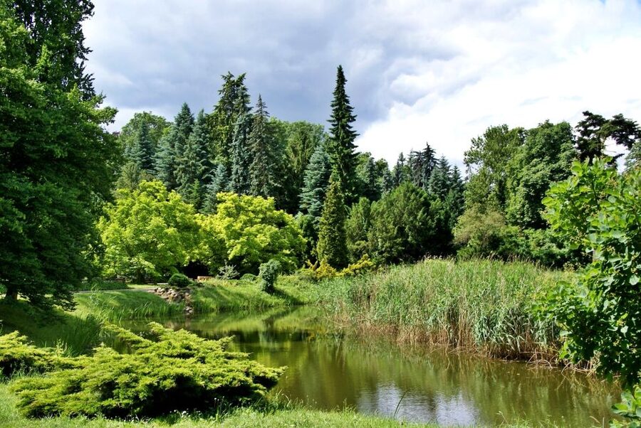 Kornik Castle and Rogalin Palace Half-Day Private Tour - Rogalin’s ancient oak forest
