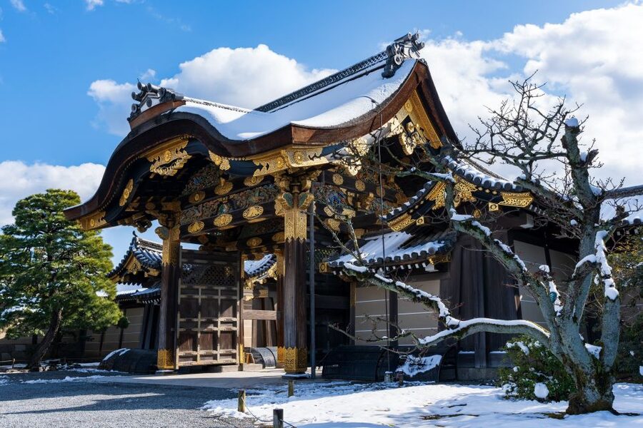Kyoto: Imperial Palace & Nijo Castle Guided Walking Tour - Is $49 a good value?