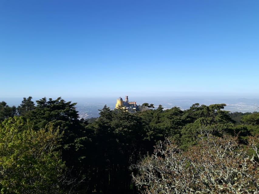 Lisbon: Half-Day Sintra Tour with Pena Palace and Regaleira - Sintra village, pastries, and a short pause