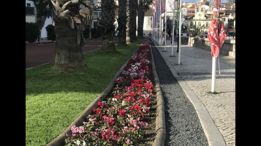 Lisbon: Pena Palace, Sintra, Cascais, and Cabo Roca Day Trip - Forty-five minutes among Sintra’s pastries and crafts
