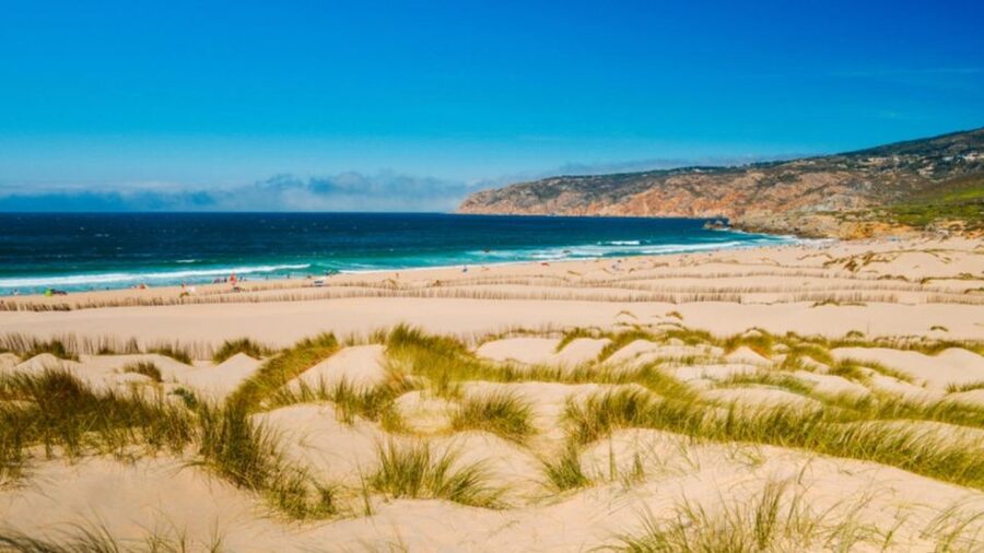 Lisbon: Sintra, Pena Palace, Cabo Roca Coast & Cascais Tour - Who should book this experience?