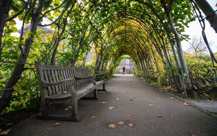 London Afternoon Tea, Fast-Track Kensington Palace Tickets - Key points at a glance