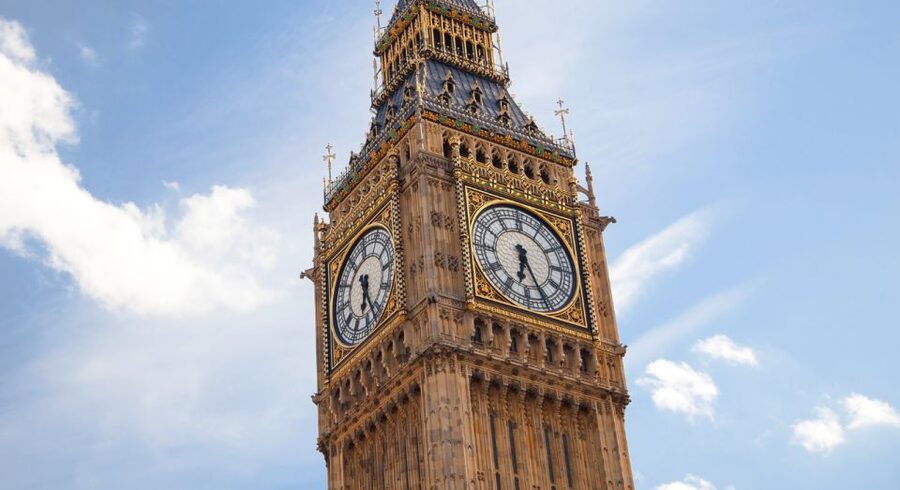 London: Changing of the Guard Tour at Buckingham Palace - Who should book this walk?