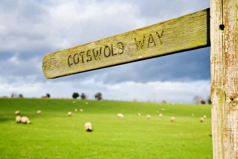 London: Cream Tea at Blenheim Palace & the Cotswolds Tour - Cream tea at Blenheim