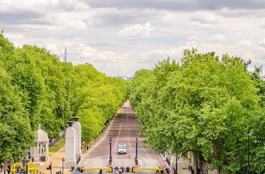 London Royal Tour - Buckingham Palace Entry - 12 guests 2,5h - Parliament, aristocrats, and royal conflict