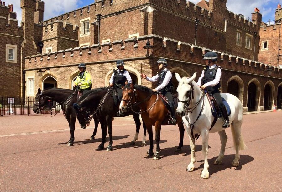 London: Westminster Walking Tour and Kensington Palace Visit - Trafalgar Square and the route into Whitehall