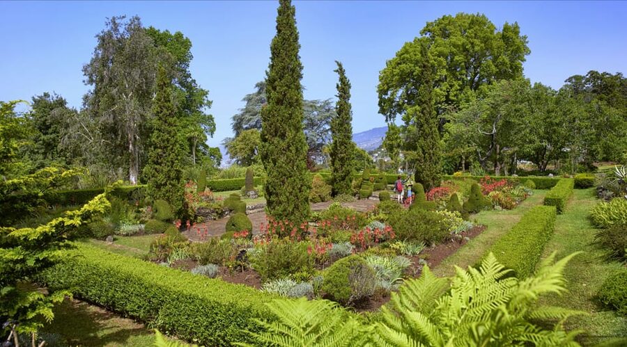 Madeira: Botanical, Monte Palace, and Palheiro Gardens - The tuk-tuk ride is part of the experience