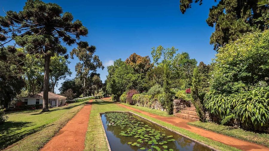 Madeira: Botanical, Monte Palace, and Palheiro Gardens - Is $176 good value for a group of three?
