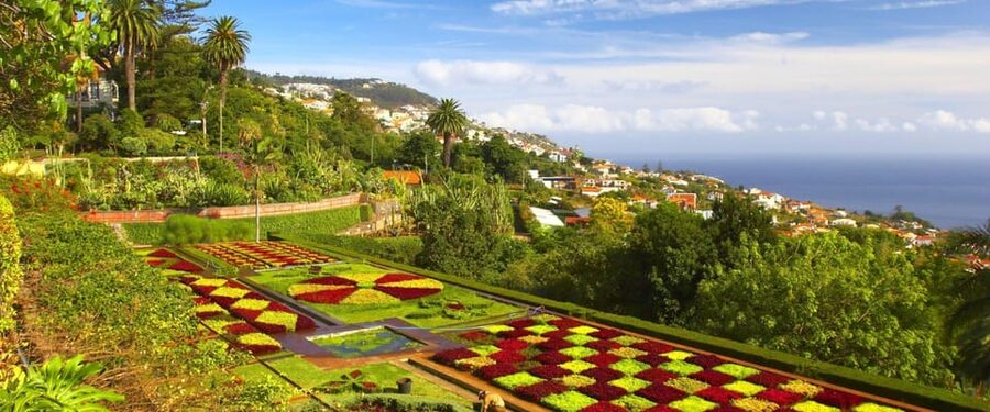 Madeira: Botanical, Monte Palace, and Palheiro Gardens - My verdict: book it for variety, not slow garden wandering