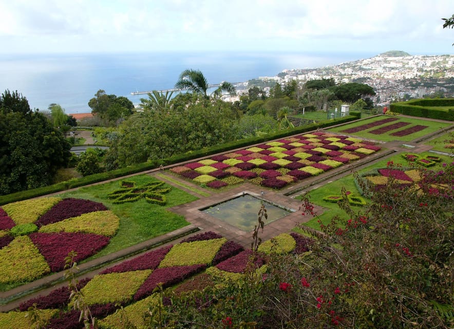 Madeira: Botanical, Monte Palace, and Palheiro Gardens - Madeira Botanical Garden: the best place for views