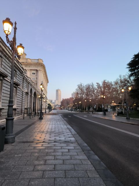 Madrid: Royal Palace & Prado Museum Private Tour - The Prado Museum with an art historian