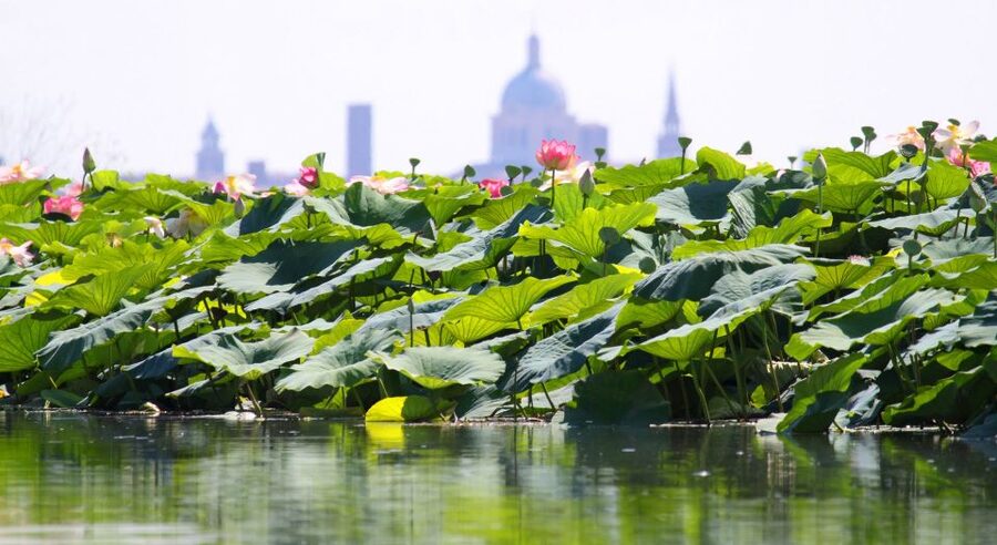 Mantova City Center and Ducal Palace: 3-Hour Guided Tour - The Bibiena Theatre Option