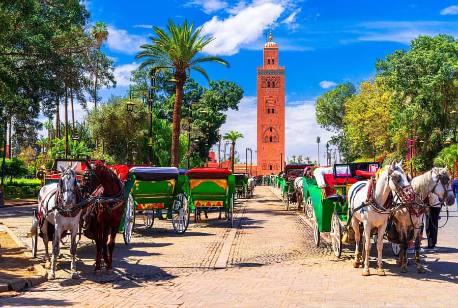 Marrakech: Bahia Palace, Madrasa Ben Youssef & Secret Garden - Key points to know before you book