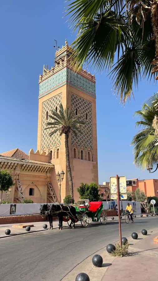 Marrakech: Bahia Palace, Madrassa & Souks Guided Tour - Starting outside Café de France in Jemaa el Fna