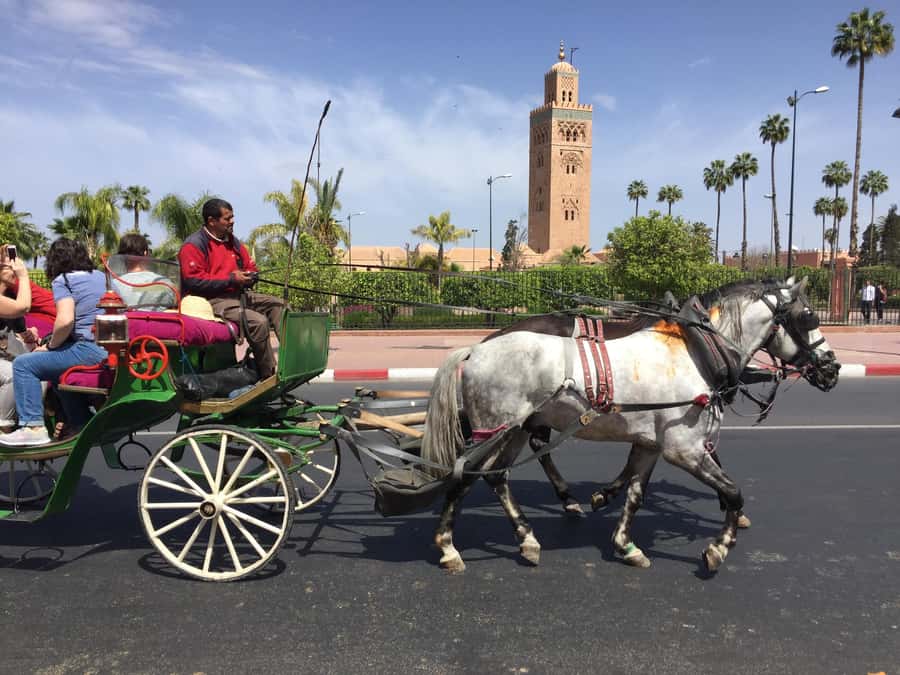 Marrakech: Bahia Palace, Saadian Tombs, & Koutoubia Mosque - Key things to know before you book