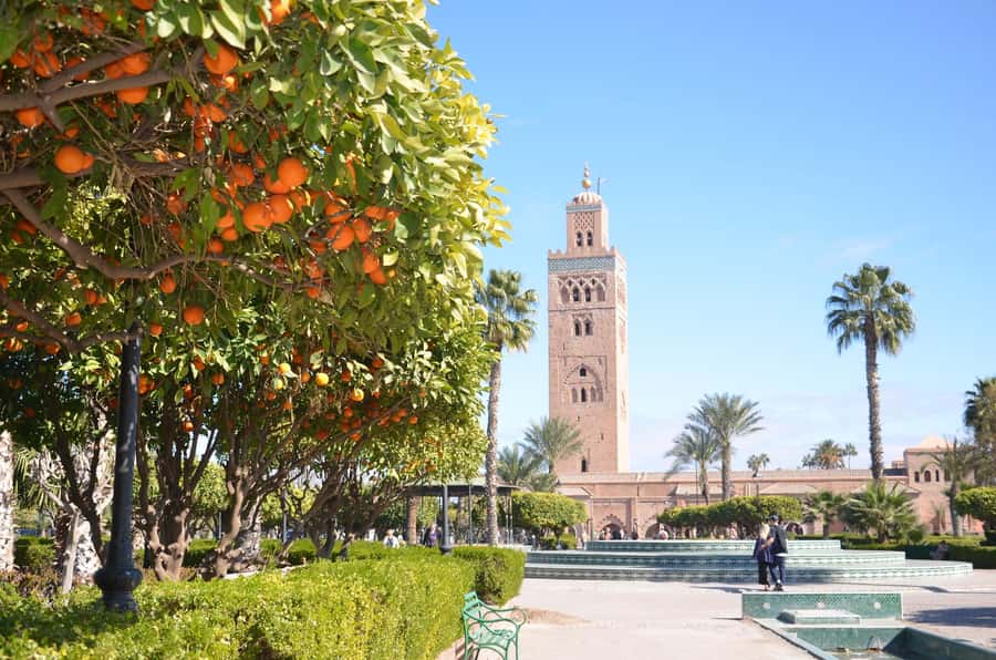 Marrakech: Palace, Museum, Madrasa & Medina Highlights Tour - What the guides add to the experience
