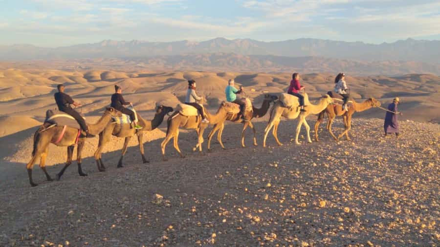 Marrakech Palaces and Monuments Half-Day Tour - What the driver service adds
