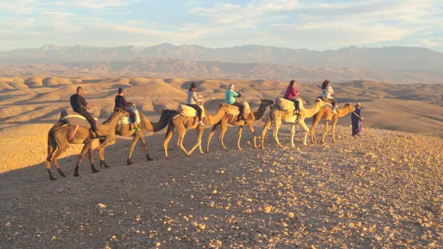 Marrakech Palaces and Monuments Half-Day Tour - Is $29 a good value?