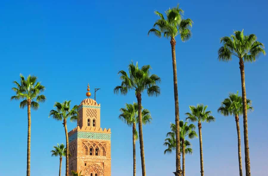 Marrakech Private Medina Tour: Bahia Palace & Ben Youssef - Starting at Café France in Jemaa el-Fna