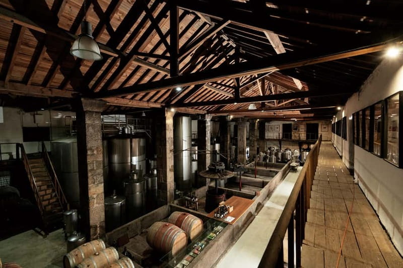 Mateus Palace - In the Footsteps of Wine History - The chapel, museum, and family story
