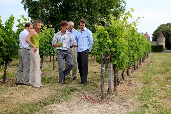 Medoc or Saint Emilion Wine Tasting and Chateau from Bordeaux - Meeting your guide in central Bordeaux