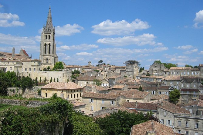 Medoc or Saint Emilion Wine Tasting and Chateau from Bordeaux - Médoc: the Castle Road and two contrasting estates