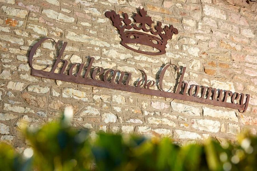 Mercurey: Château de Chamirey 4x4 getaway and tasting - The five-wine tasting after the ride