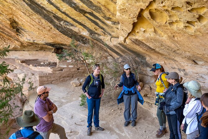 Mesa Verde Express Tour With Tickets To Cliff Palace - Why Cliff Palace makes this five-hour trip worthwhile