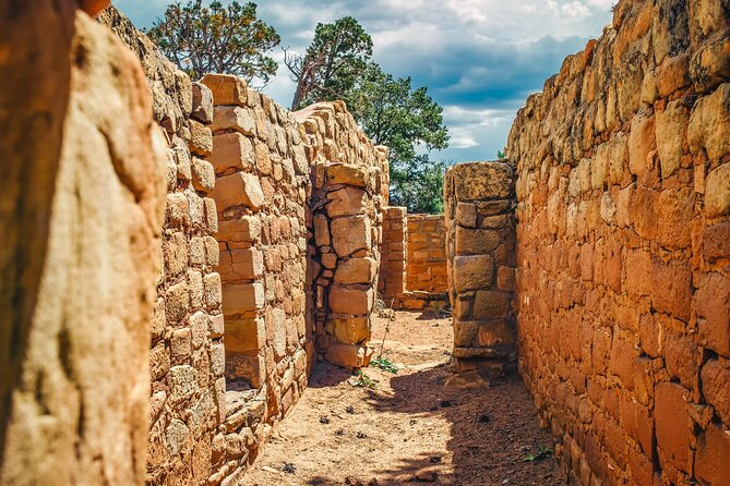 Mesa Verde Full Day Tour with Cliff Palace and Lunch - Entering Cliff Palace by stairs and ladders