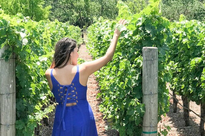 Minoan Crete: Knossos Palace, Winery Visit and Lunch at Peza - How private is the private tour?