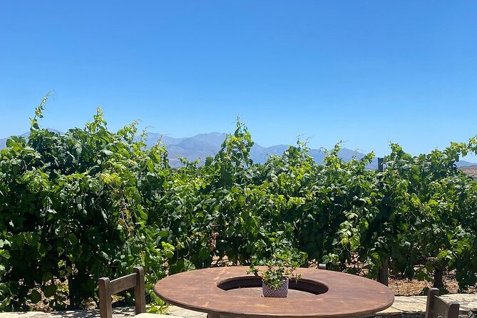 Minoan Crete: Knossos Palace, Winery Visit and Lunch at Peza - Who should book this day in Crete?