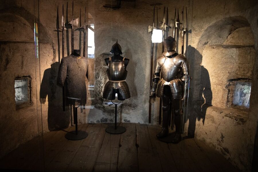 Montreux: Chateau Chillon Entrance Ticket - Accessibility and family considerations