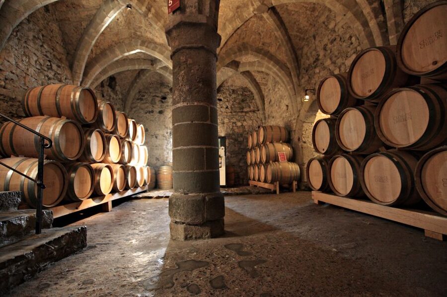 Montreux: Chateau Chillon Entrance Ticket - Exhibitions that connect the castle with the region