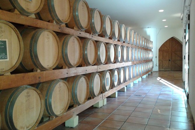 Morning Wine Tour to Chateauneuf du Pape from Avignon - What you may learn about the wines