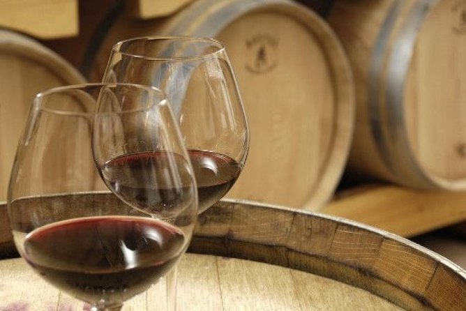 Morning Wine Tour to Chateauneuf du Pape from Avignon - Who will enjoy this morning best