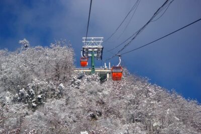 Mutianyu Great Wall&Summer Palace Excursion:Group/Private Options