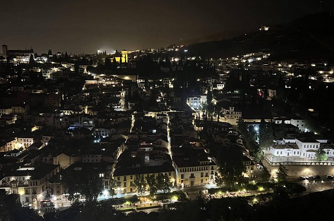 Night Tour of Alhambra and Nasrid Palaces + tickets - Is $114.93 a fair price?