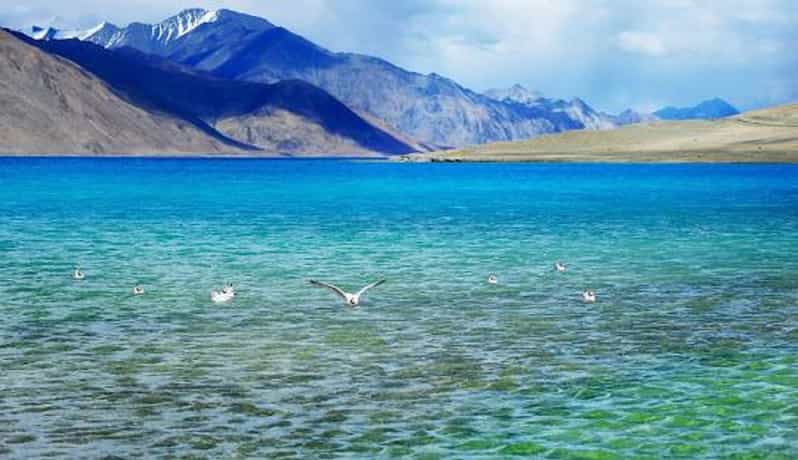 Overnight Pangong Tour From Leh With Thiksey & Shey Palace - Key points to know before booking