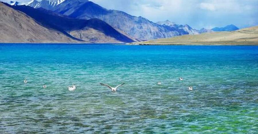 Overnight Pangong Tour From Leh With Thiksey & Shey Palace - Shey Palace above the Indus Valley
