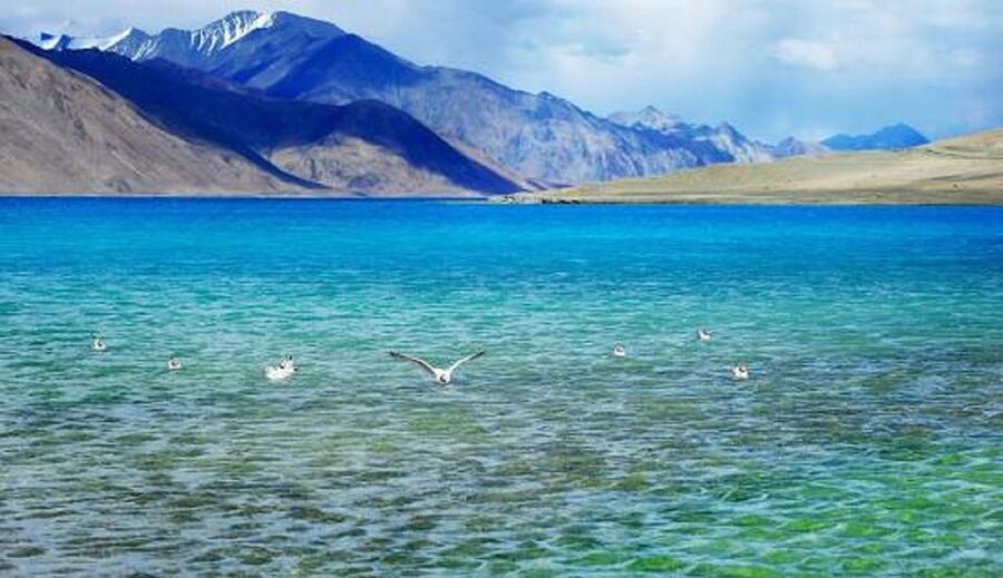 Overnight Pangong Tour From Leh With Thiksey & Shey Palace - Who should book this Pangong trip?
