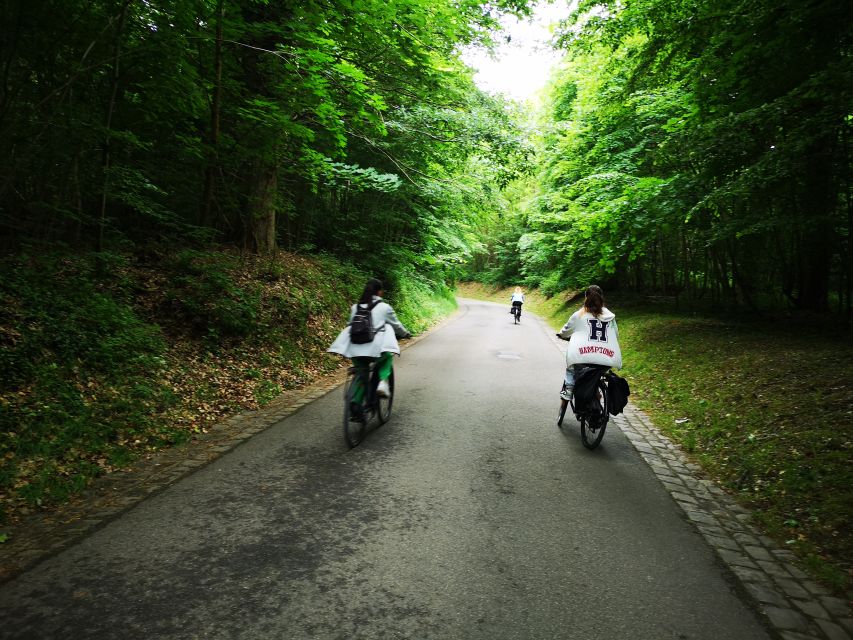 Paris: Versailles Palace and Queen Hamlet E-Bike Tour - The Trianon estate and Marie-Antoinette’s Hamlet