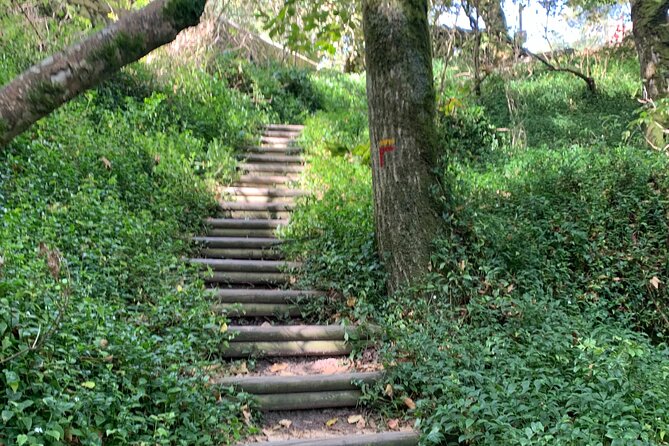Pena Palace and Villa de Sintra Private Half Day Tour - How the guides shape the day
